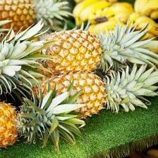 regionen/hawaii/oahu/honolulu/honolulu-farmers-market-pineapple.cr1332x1333-600x0 regionen/hawaii/oahu/honolulu/honolulu-farmers-market-pineapple.cr1332x1333-600x0