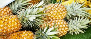 regionen/hawaii/oahu/honolulu/honolulu-farmers-market-pineapple.cr1992x872-0x172