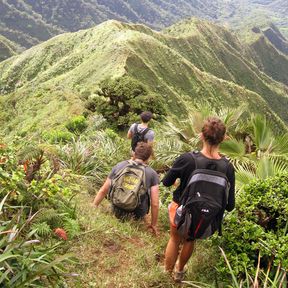 Stairway to Heaven Trail, Oahu