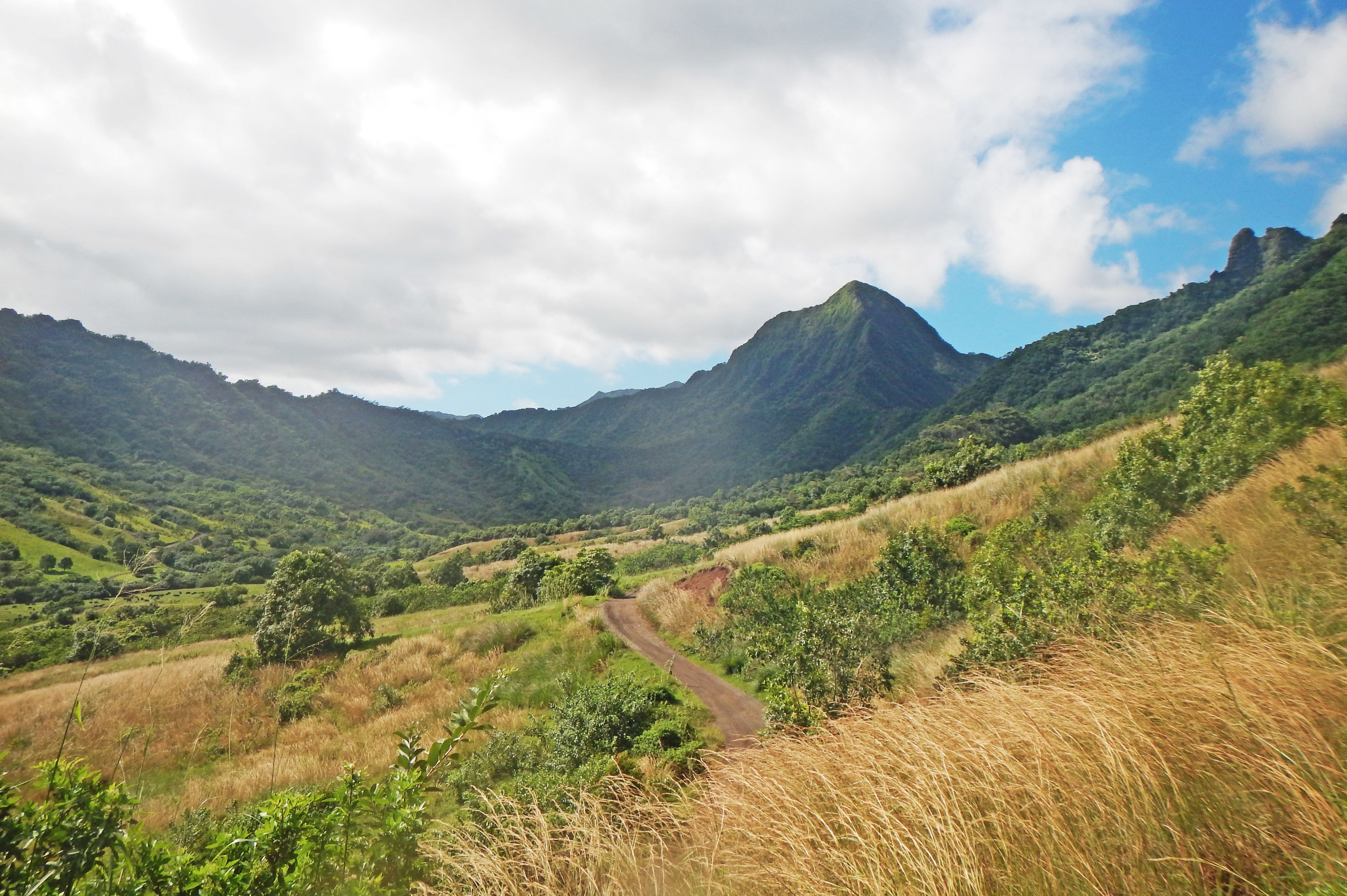Landschaft im Tal der Kualoa Ranch