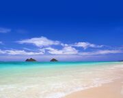 regionen/hawaii/oahu/lanikai-beach.cr5504x3663-1095x0 regionen/hawaii/oahu/lanikai-beach.cr5504x3663-1095x0