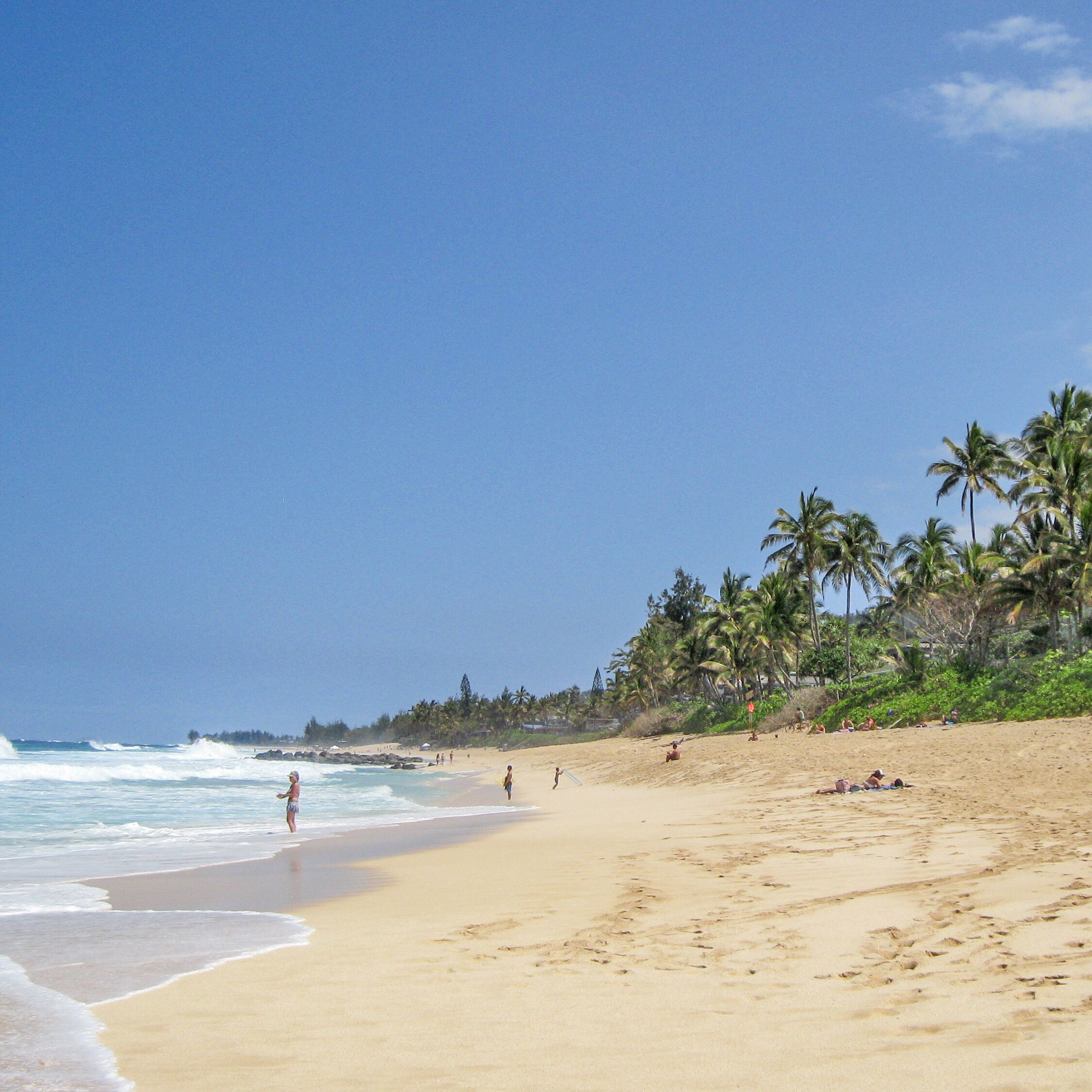 Ein Strand an der NordkÃ¼ste der hawaiischen Insel O'ahu