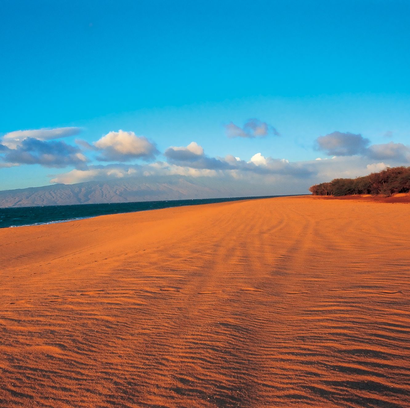 Polihua Beach