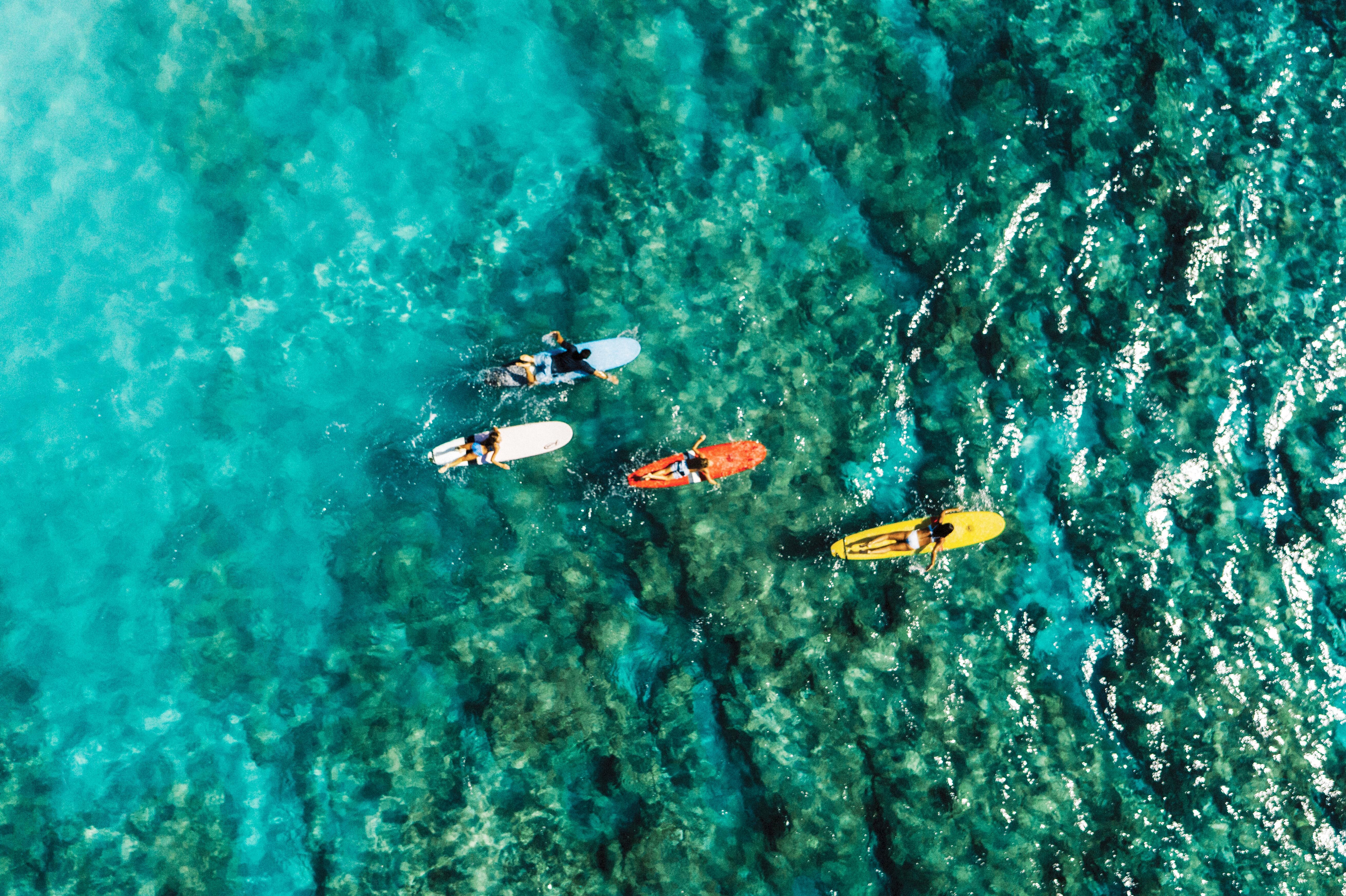 Familie surft in der Bucht vor dem Waikiki Beach auf Oahu