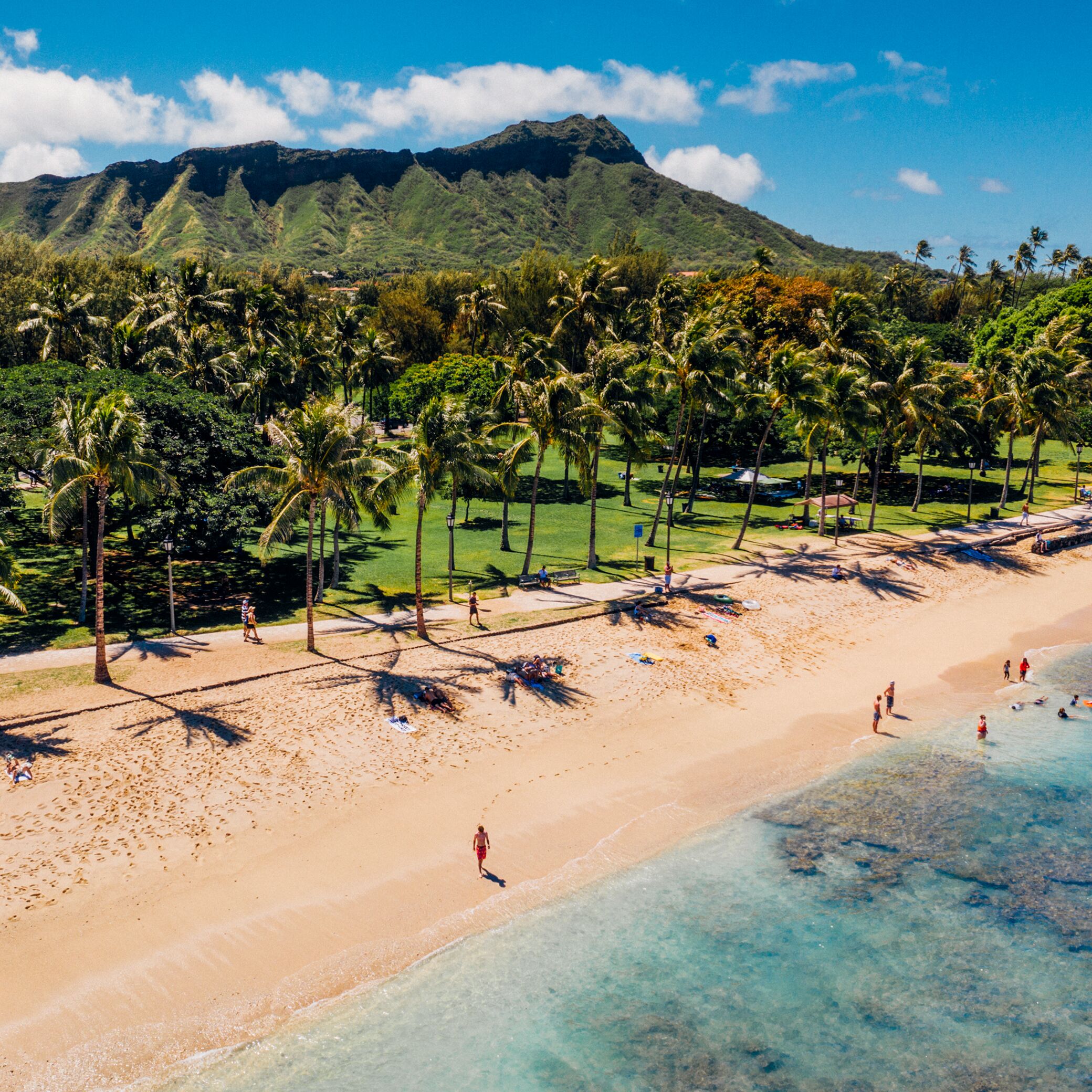 Blick auf den Queen's Beach mit Palmen bei Waikiki, Oahu