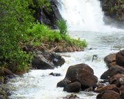 regionen/hawaii/oahu/waimea-falls.cr3672x1606-0x1315 regionen/hawaii/oahu/waimea-falls.cr3672x1606-0x1315