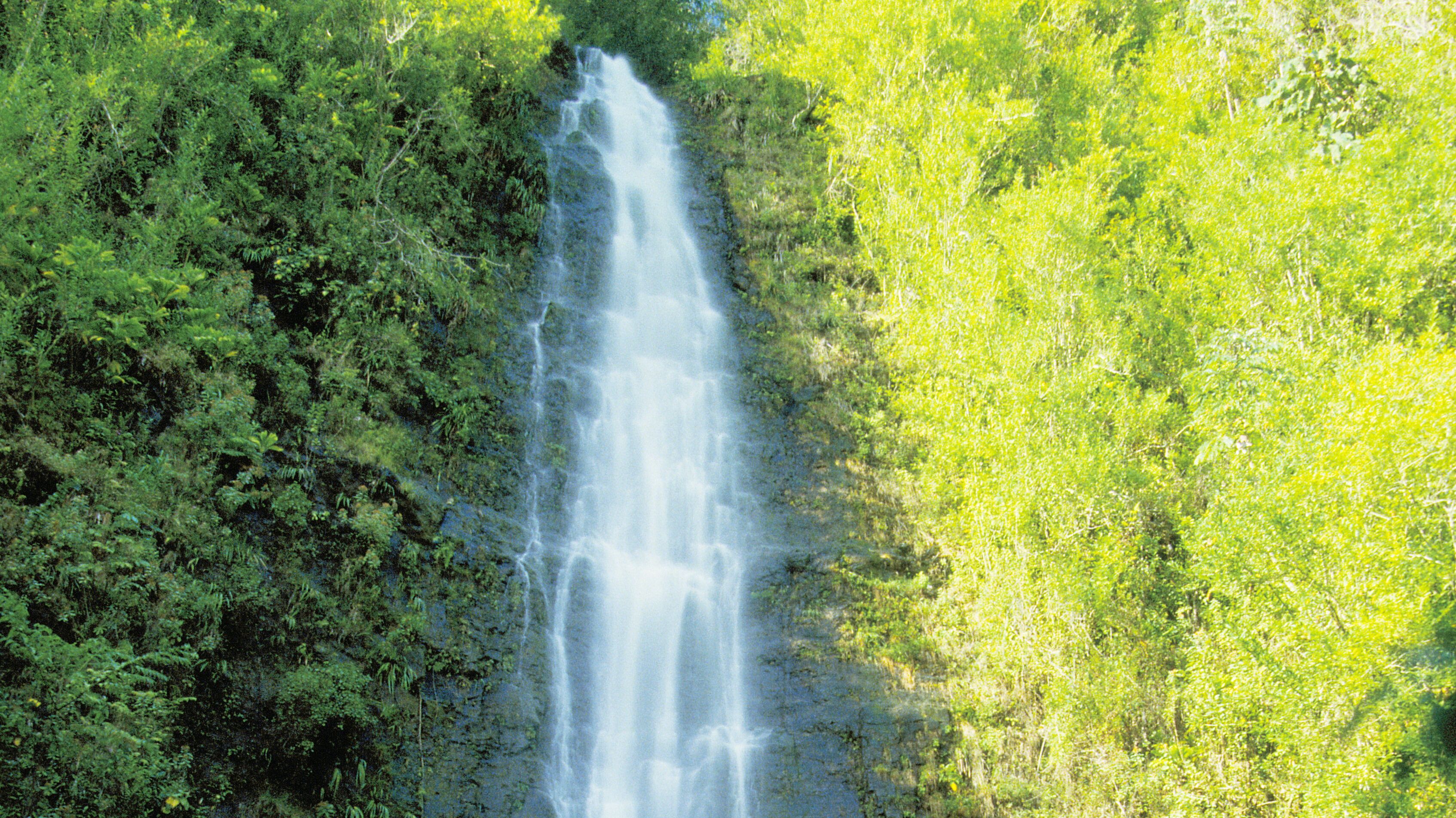 Rauschender Wasserfall umgeben von üppiger Vegetation.