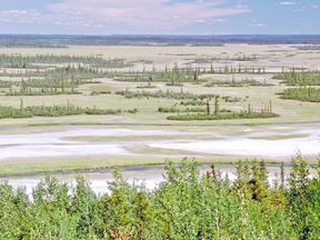 Weite im Wood Buffalo National Park