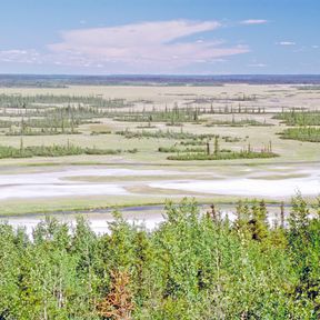 Weite im Wood Buffalo National Park