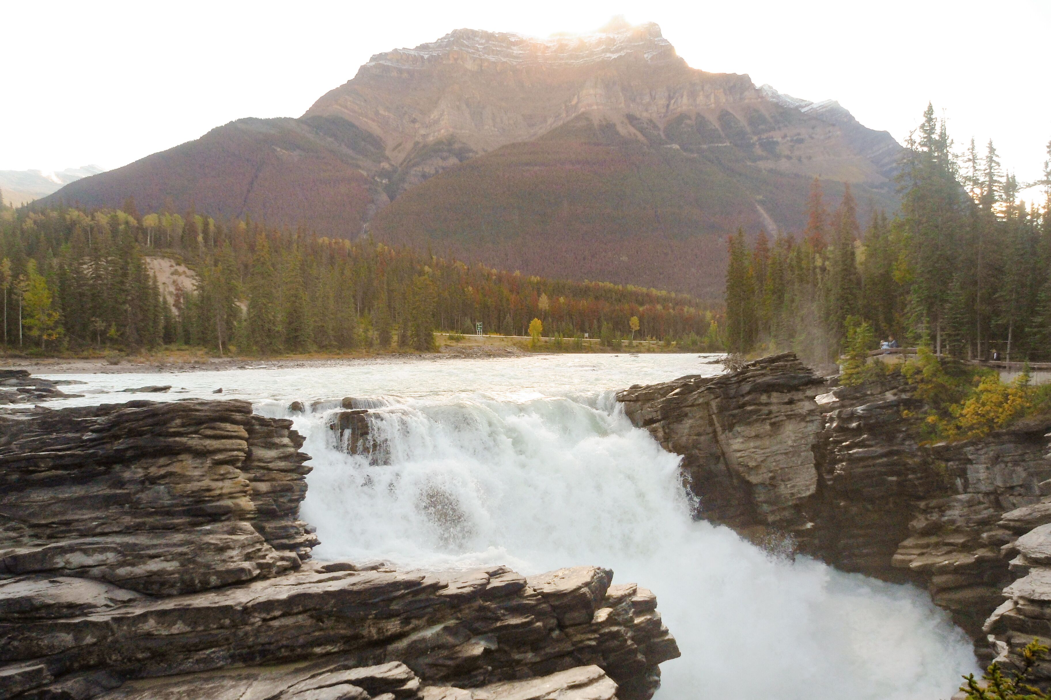 Die Athabasca Falls im Jasper National Park