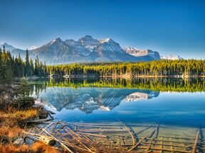 Der Herbert Lake am Icefields Parkway