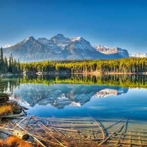 Der Herbert Lake am Icefields Parkway