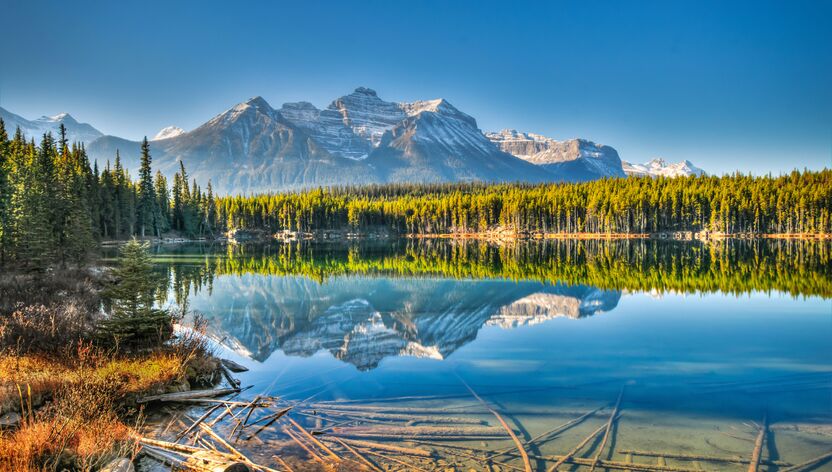 Der Herbert Lake am Icefields Parkway Der Herbert Lake am Icefields Parkway
