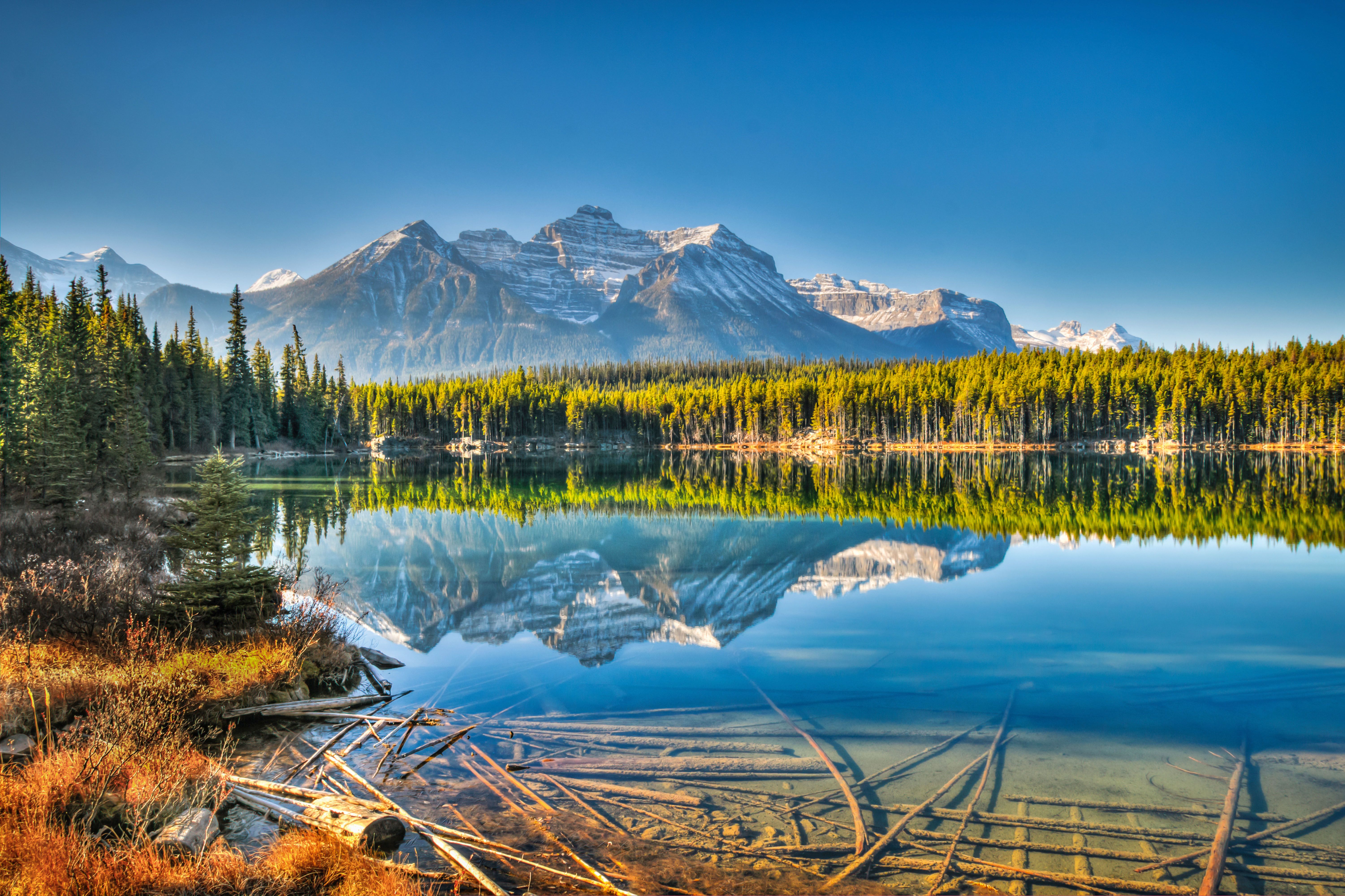 Der Herbert Lake am Icefields Parkway