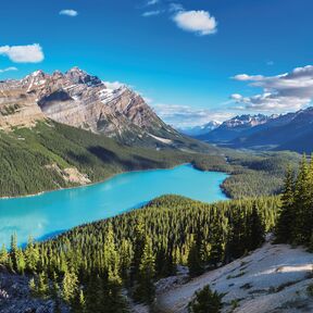 Der traumhafte Peyto Lake in den Rocky Mountains im Banff National Park in Alberta