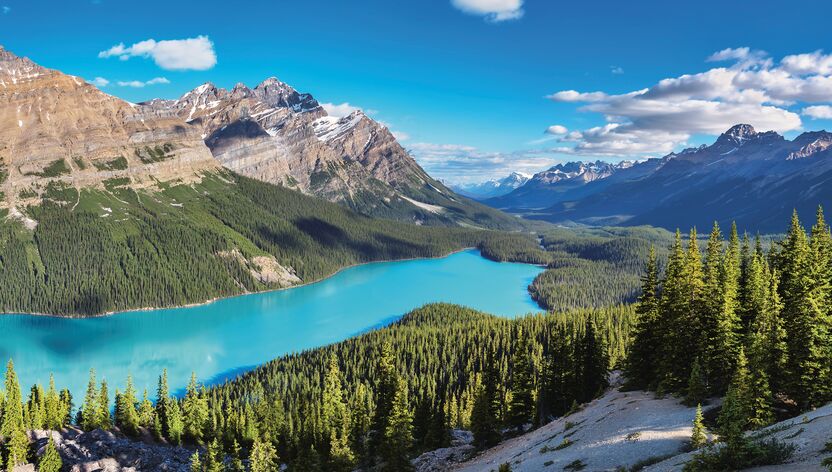 Der traumhafte Peyto Lake in den Rocky Mountains im Banff National Park in Alberta