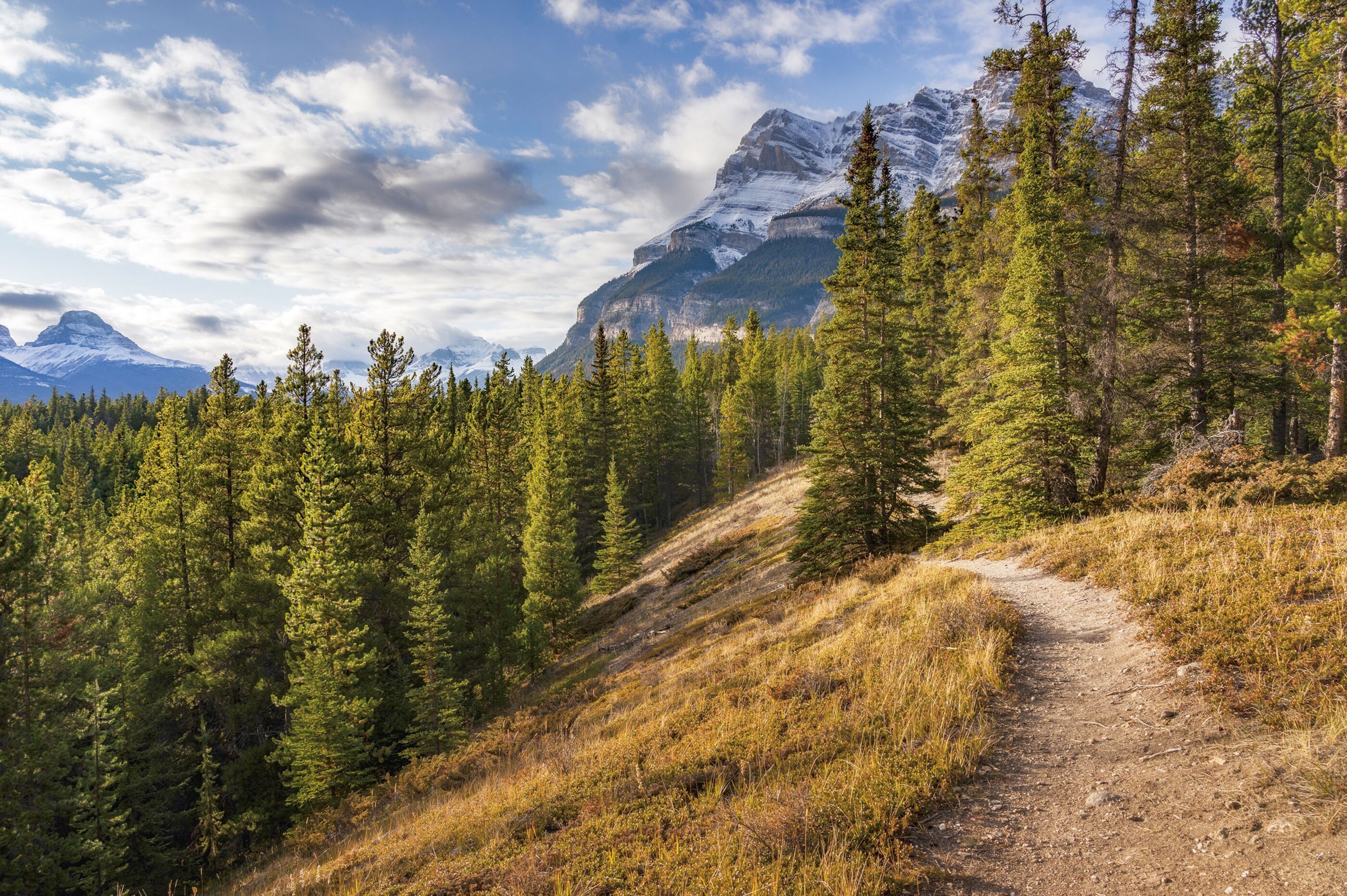Wanderung durch die Natur im Banff National Park in Alberta