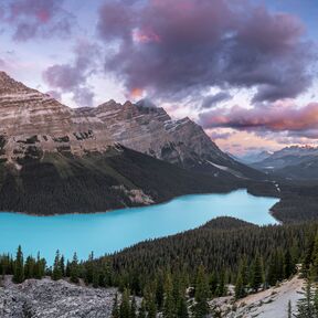 Der leuchtend türkisfarbene Peyto Lake ruht eingebettet in dichte Nadelwälder vor der markanten Bergkulisse des Banff Nationalparks unter einem farbenfrohen Himmel Der leuchtend türkisfarbene Peyto Lake ruht eingebettet in dichte Nadelwälder vor der markanten Bergkulisse des Banff Nationalparks unter einem farbenfrohen Himmel