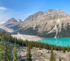 Panorama des Peyto Lake