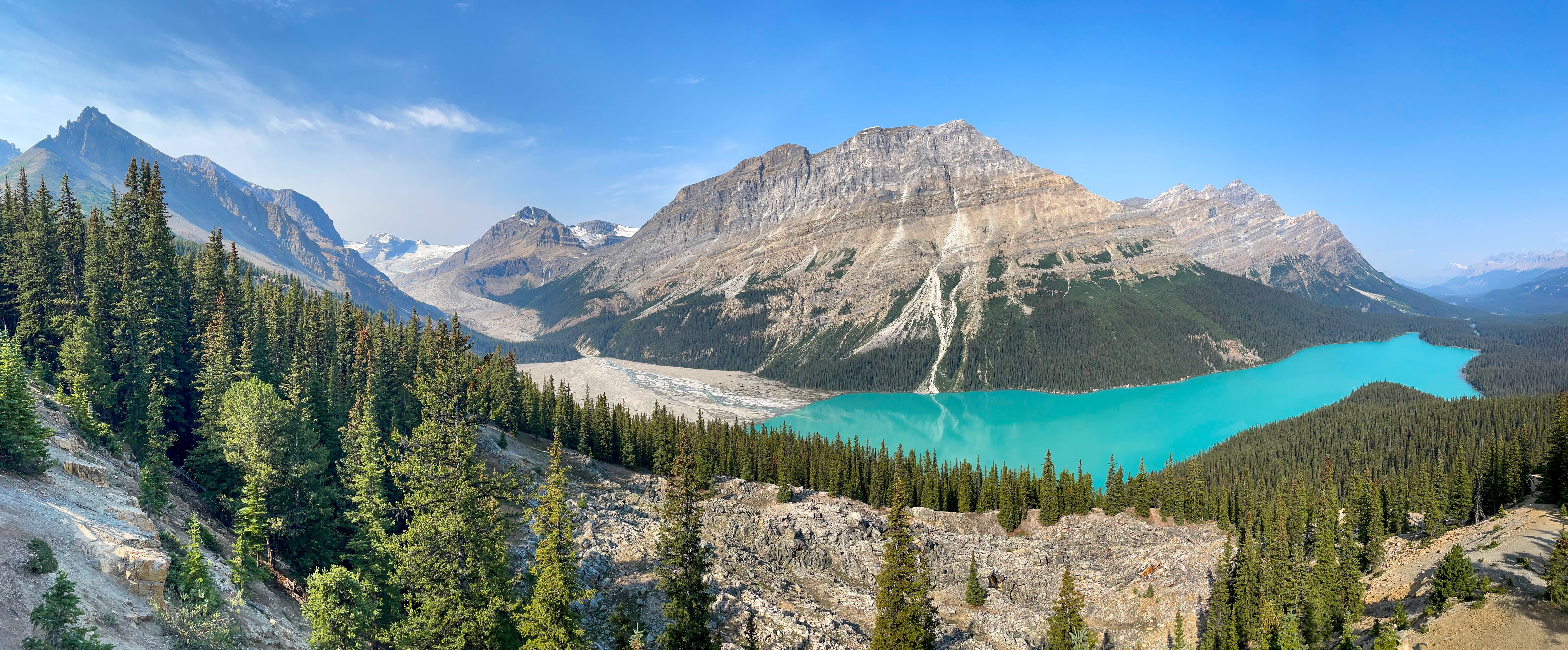 Panorama des Peyto Lake