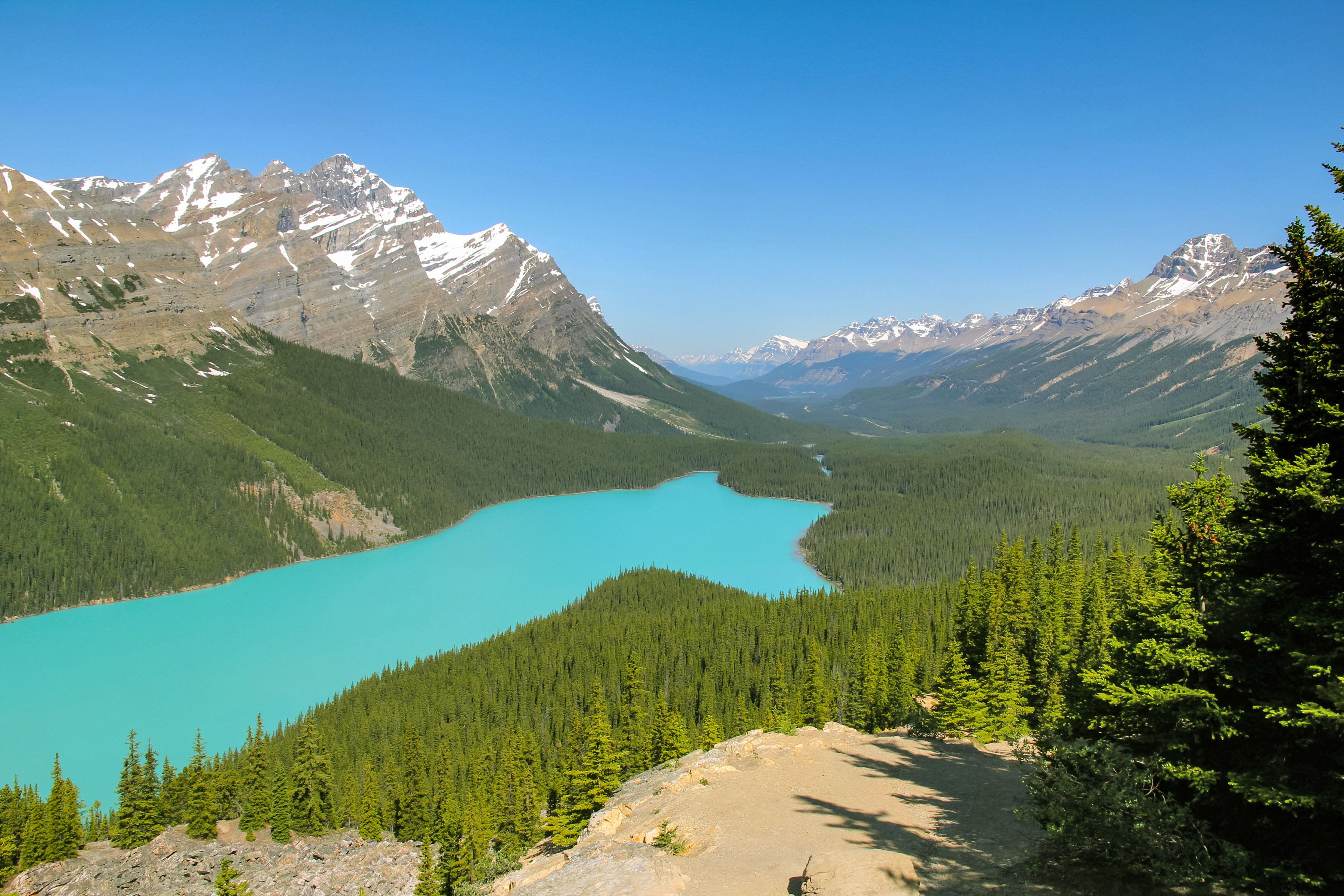 Peyto Lake am the Icefields Parkway, Alberta