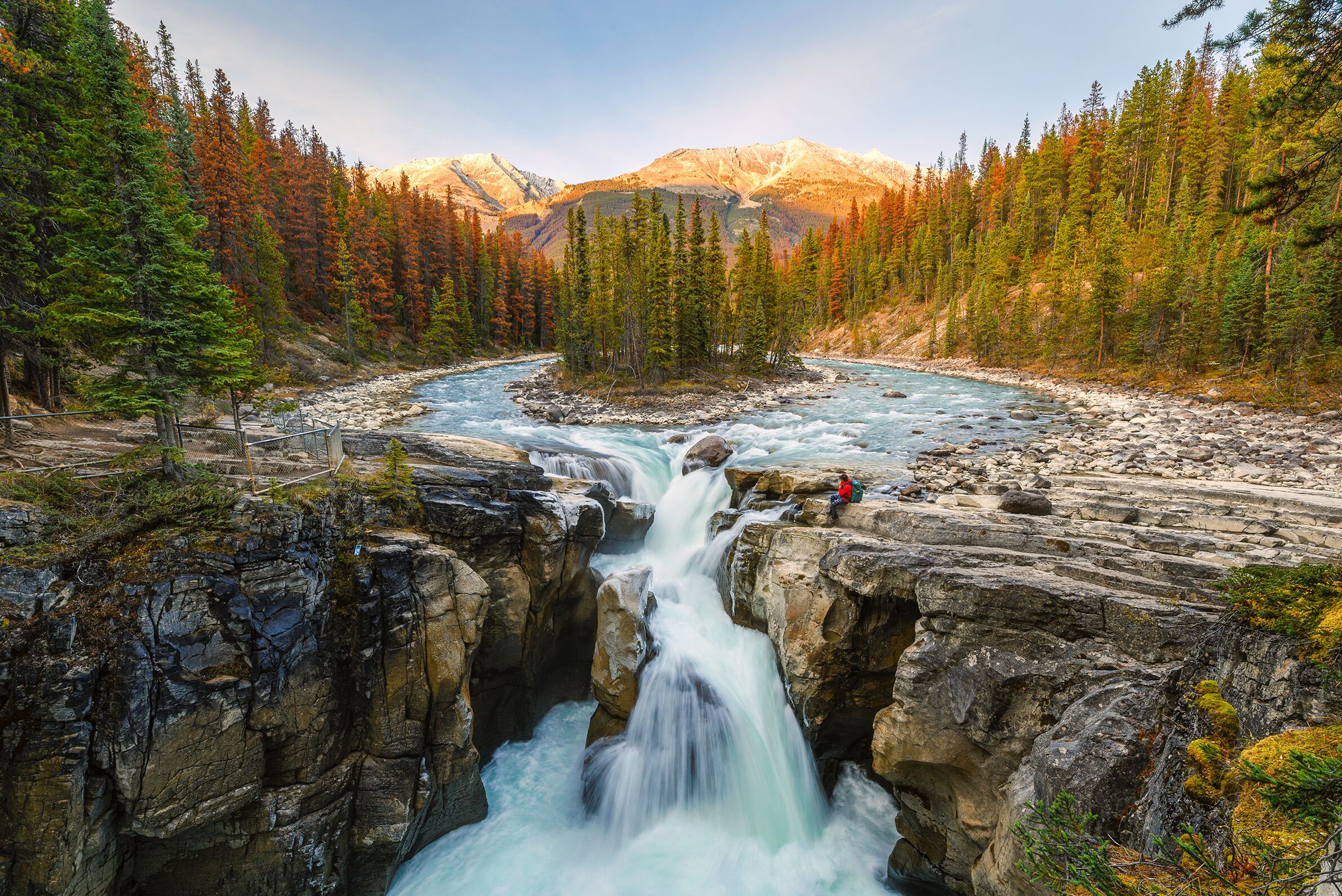 Farbenfroher Herbst an den Sunwapta Falls in Icefields Parkway