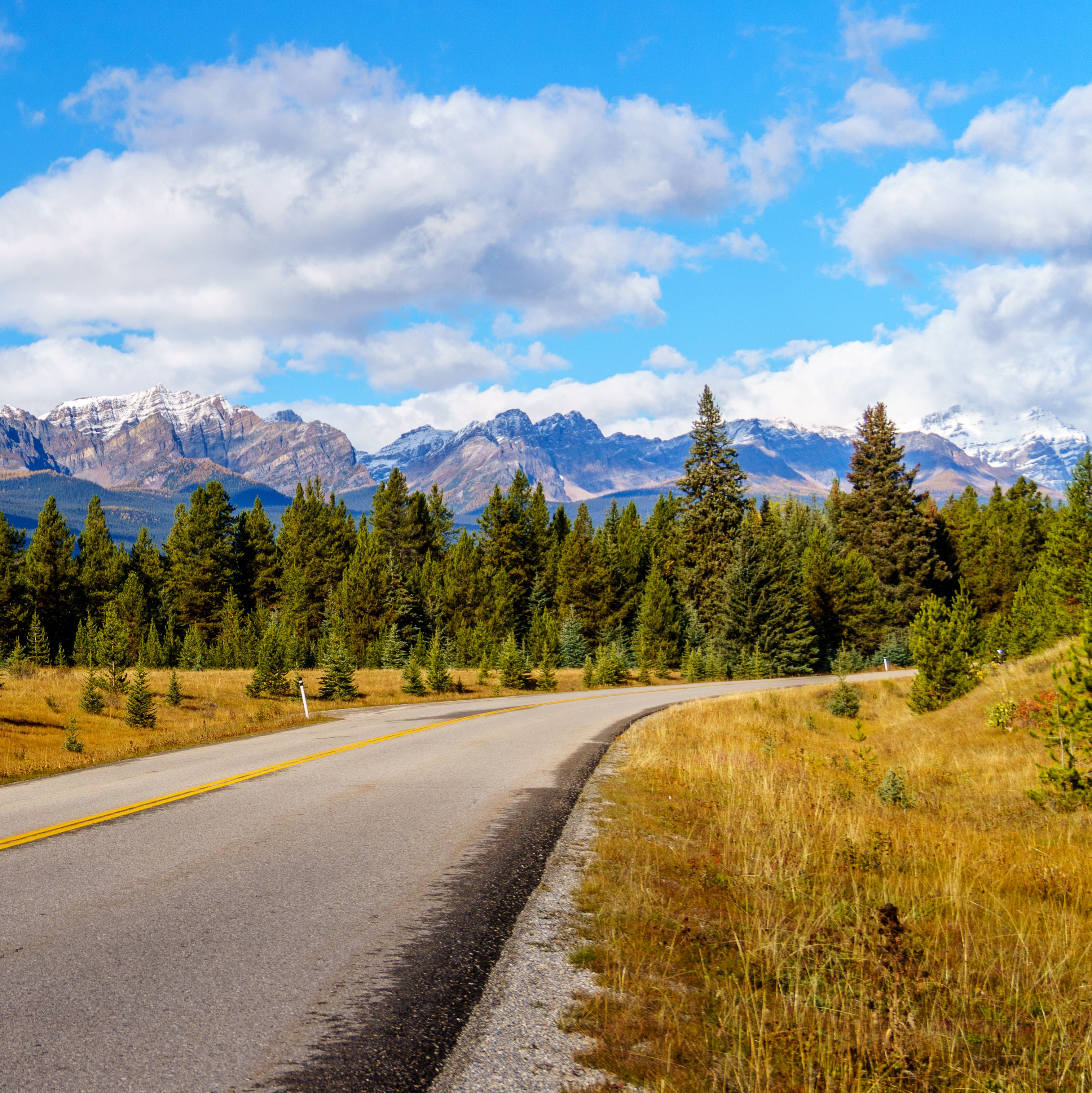 Blick auf die Bow Mountain Range vom Bow Valley Parkway im Banff National Park, Alberta