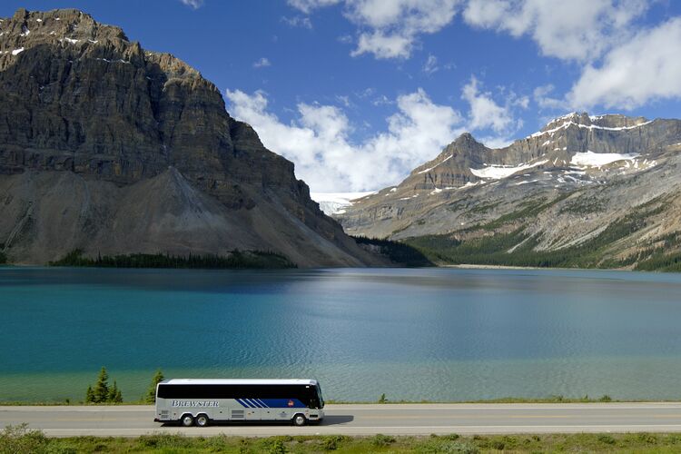 Brewster Bus am Bow Lake