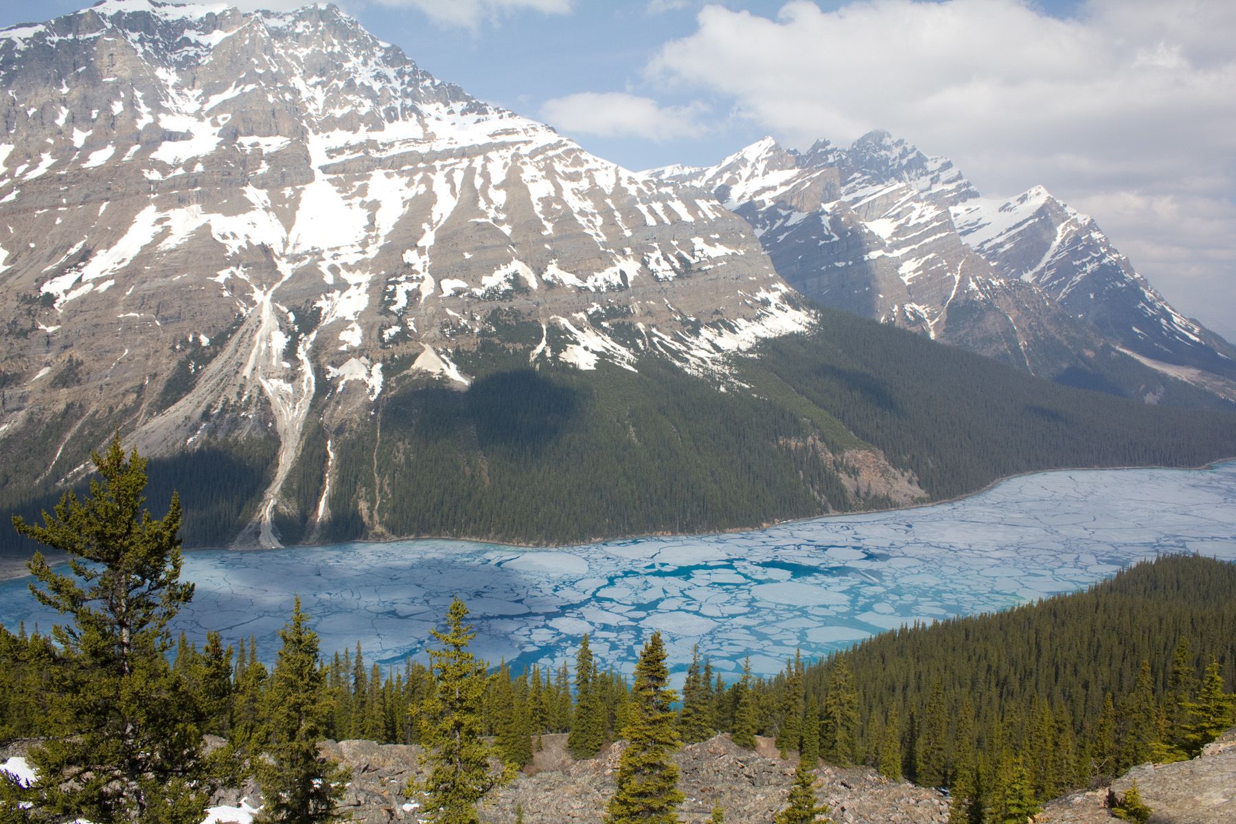 Blick auf Peyto Lake vom Bow Summit