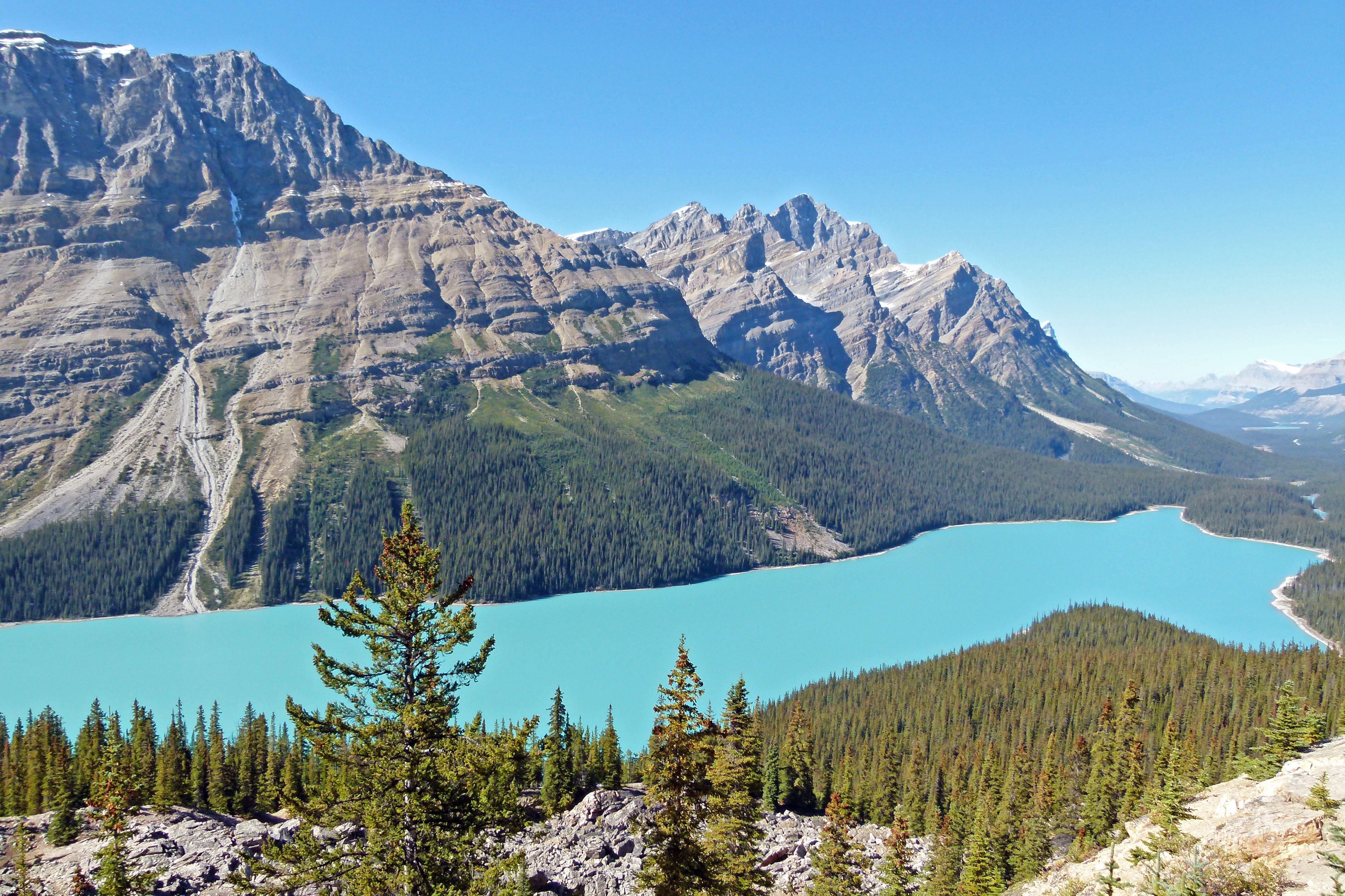 Blick Ã¼ber den berÃ¼hmten Peyto Lake