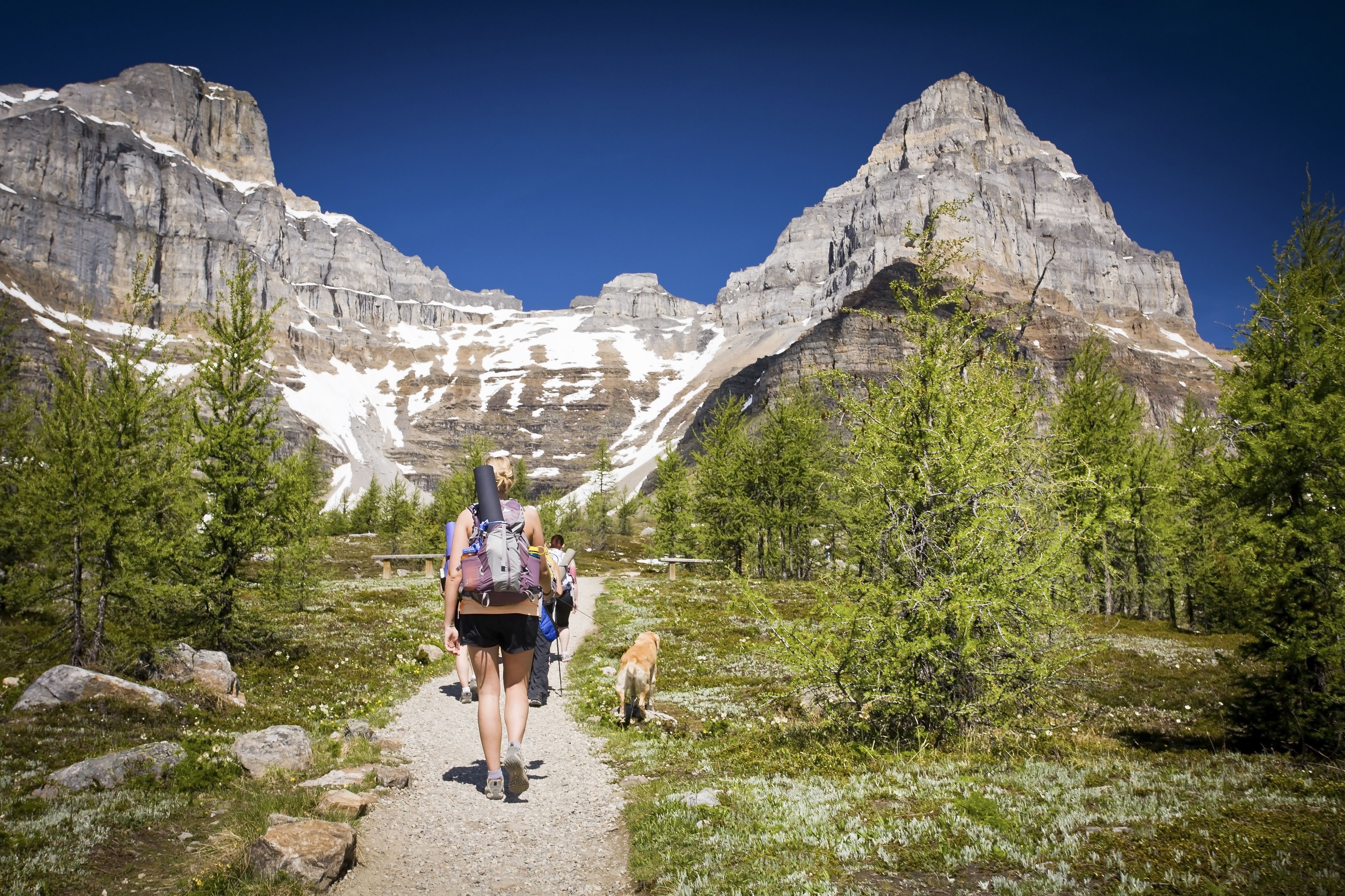 Banff hiking