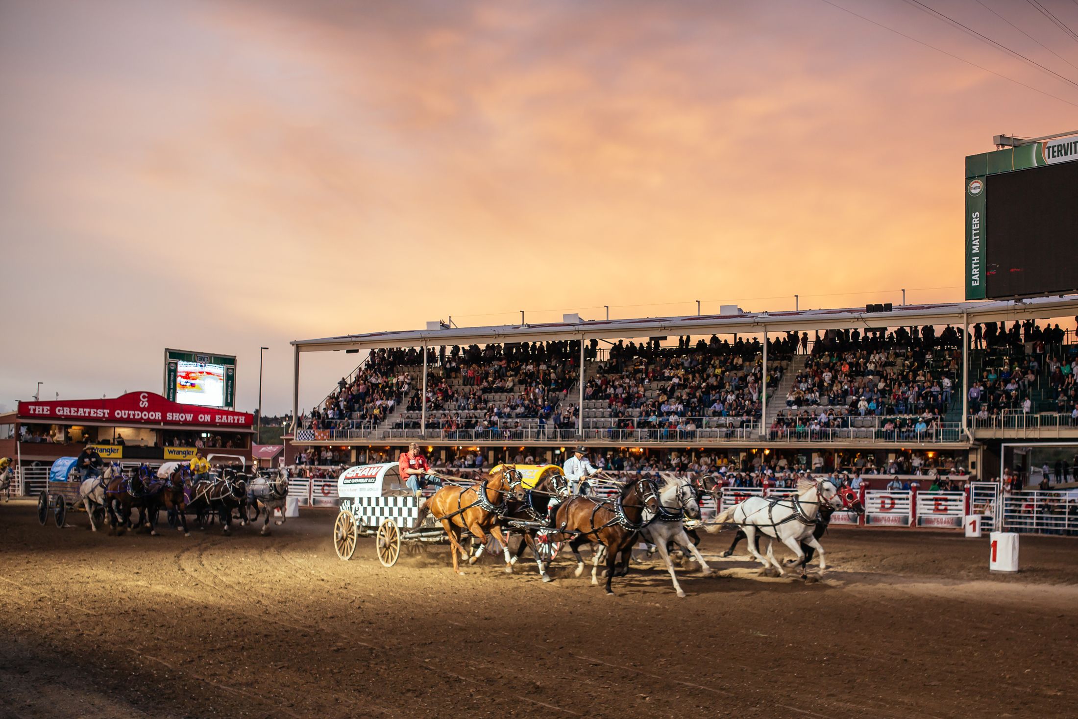 Impression Calgary Stampede