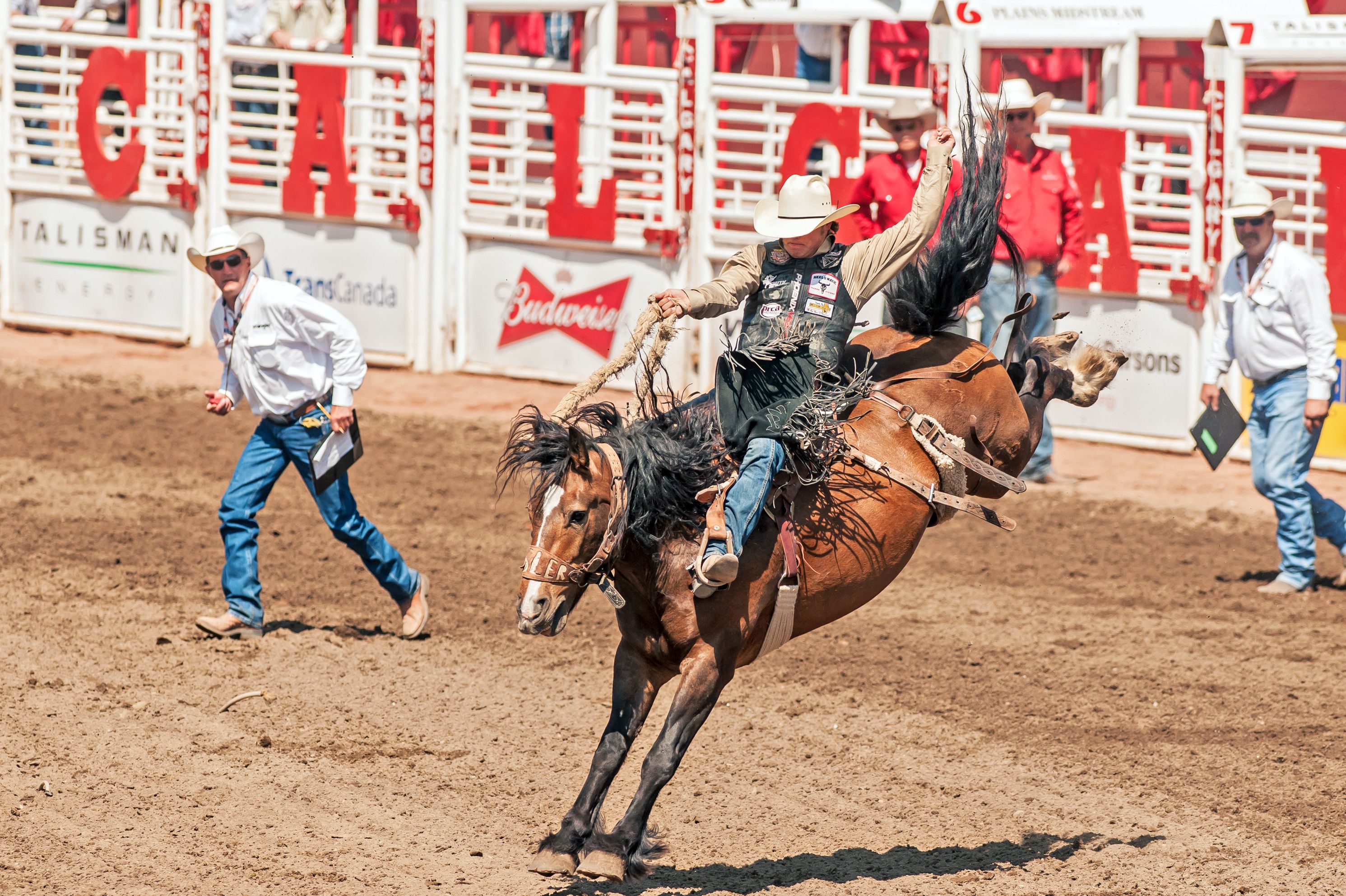 Cowboy at work