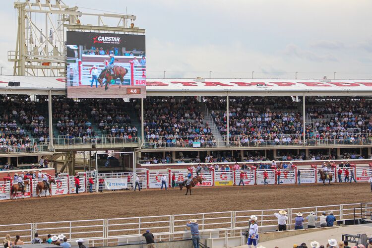 Rodeo-Show bei der Calgary Stampede, Alberta