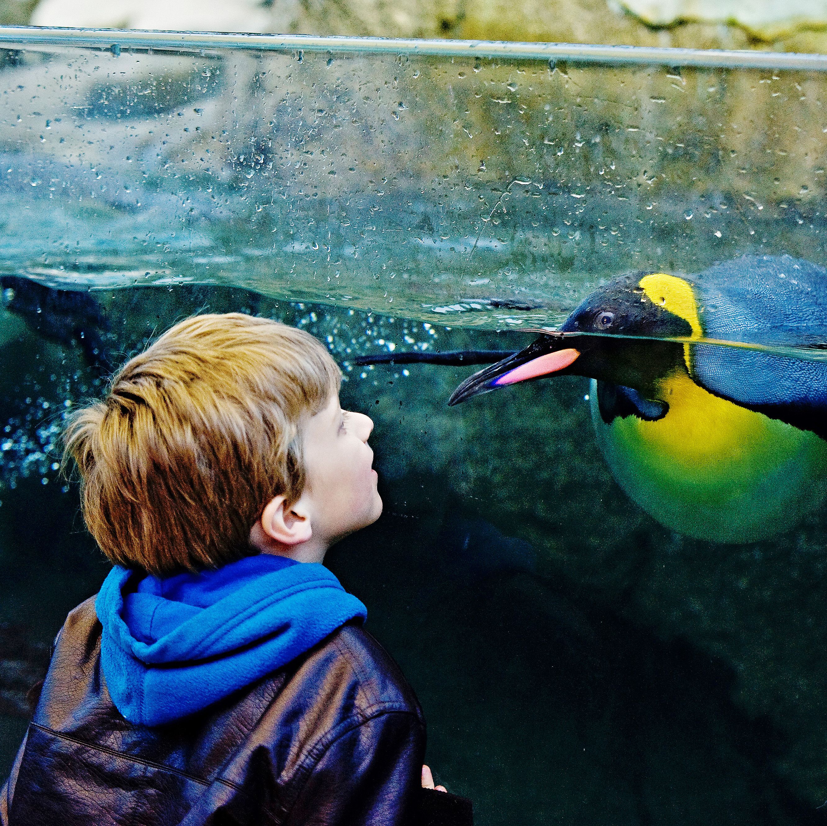 Im Calgary Zoo