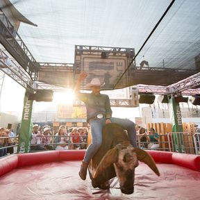 Ein Cowboy beim Rodeoreiten wÃ¤hrend dem Calgary Stampede in Alberta