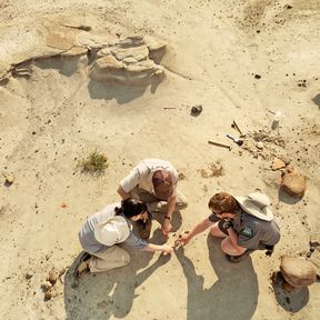 Ausgrabung im Dinosaur Provincial Park