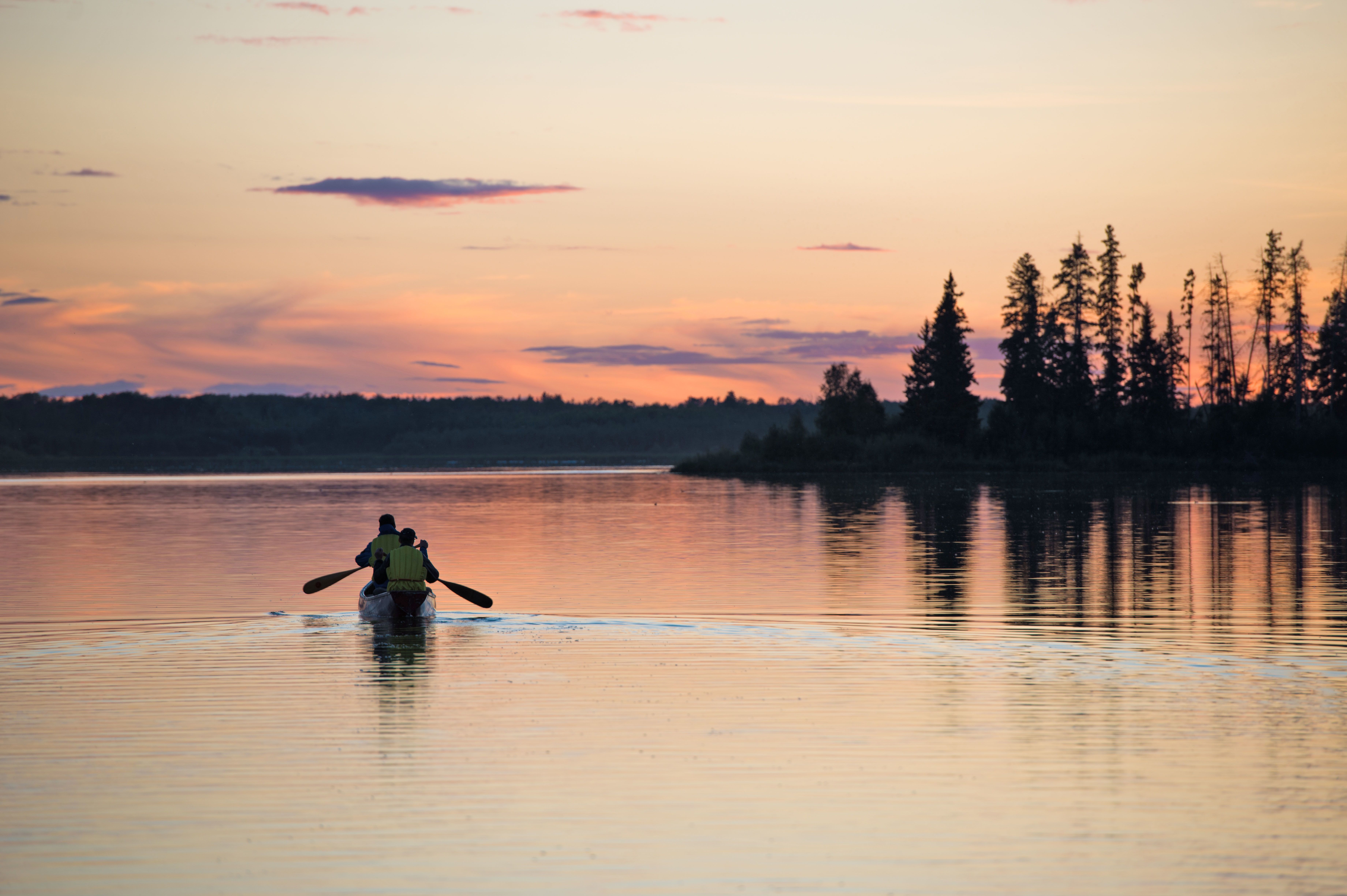 Elk Island Nationalpark in Edmonton