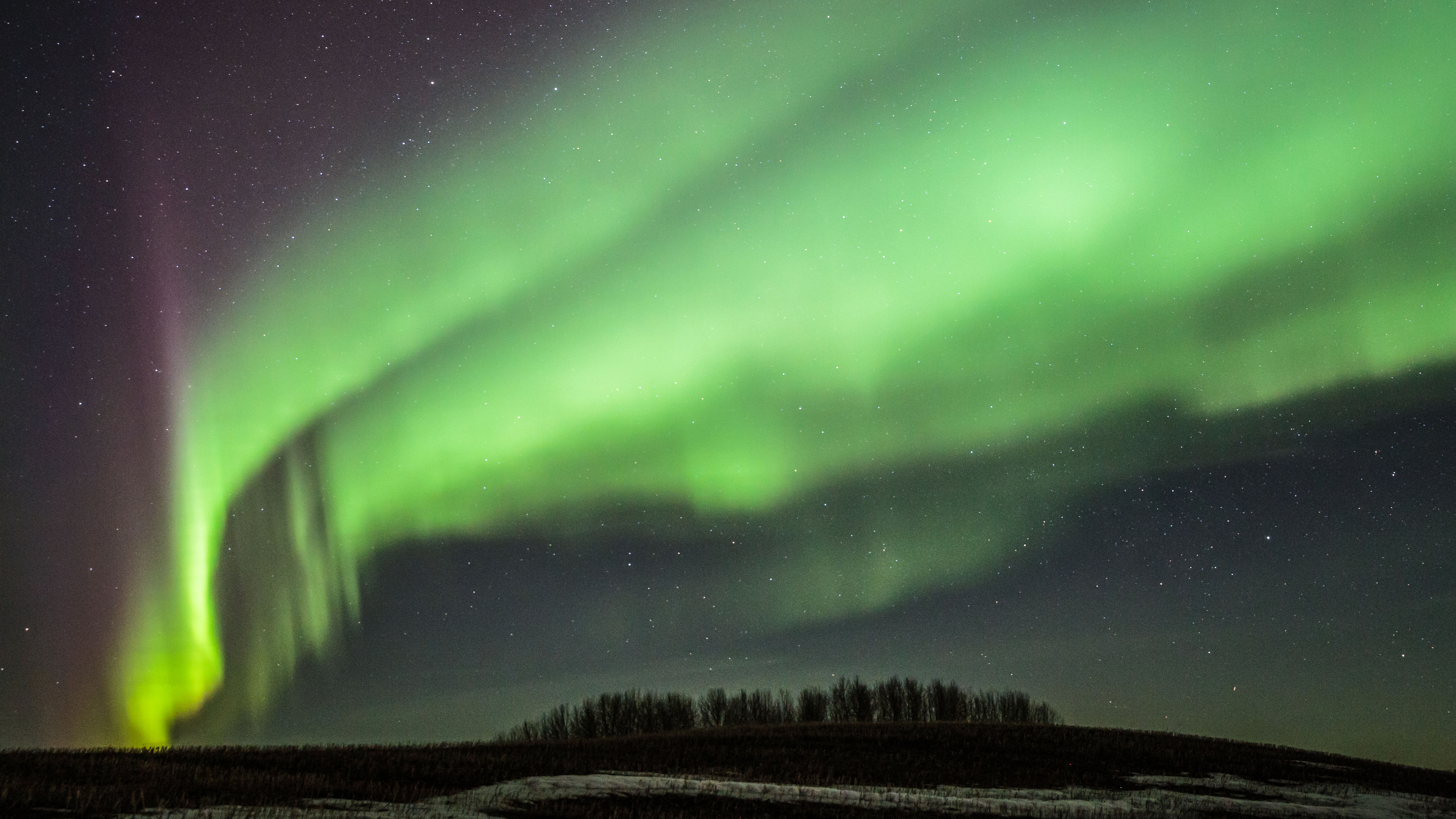 Polarlichter gesichtet in der NÃ¤he von Edmonton