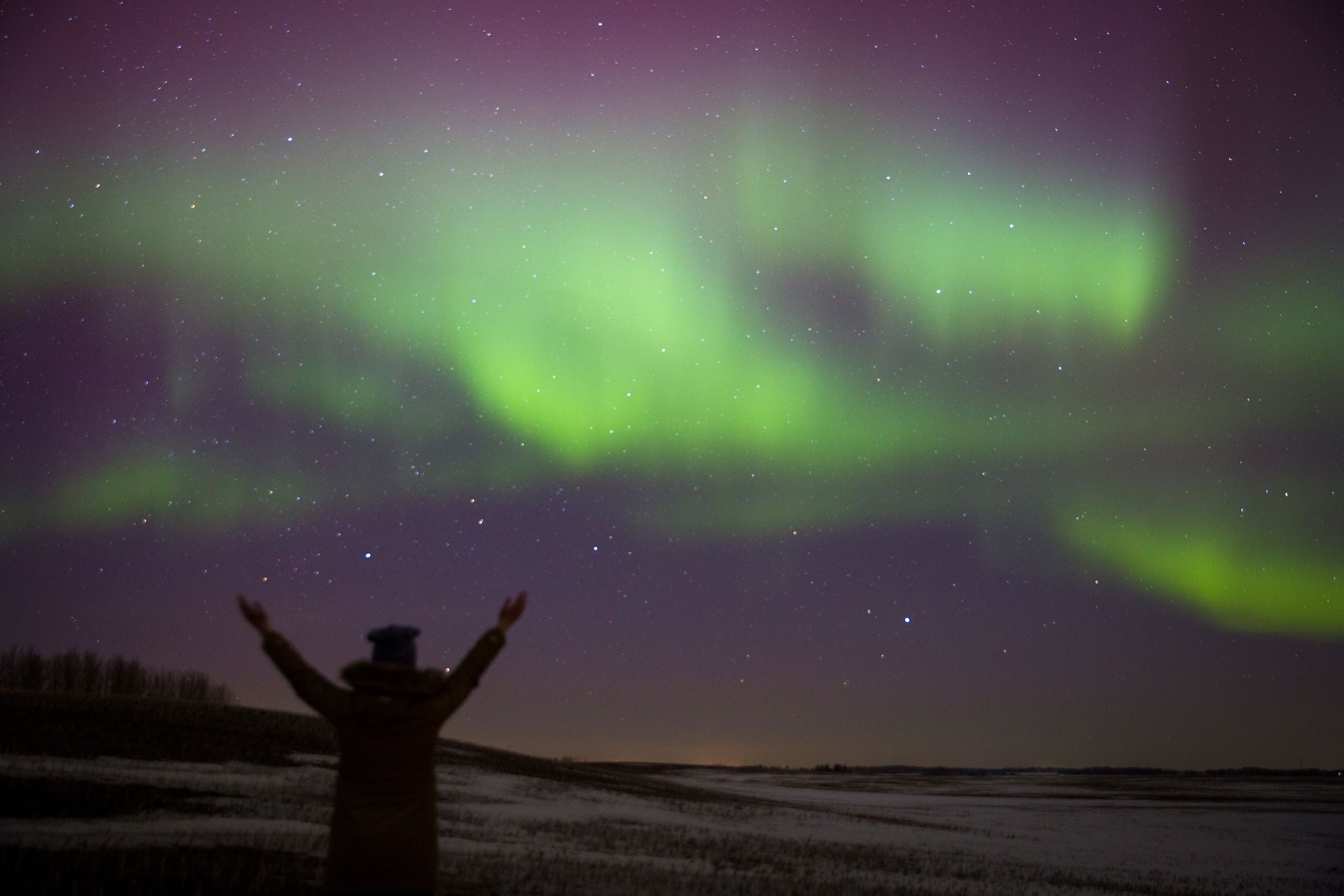 Die Nordlichter nahe Edmonton, Alberta