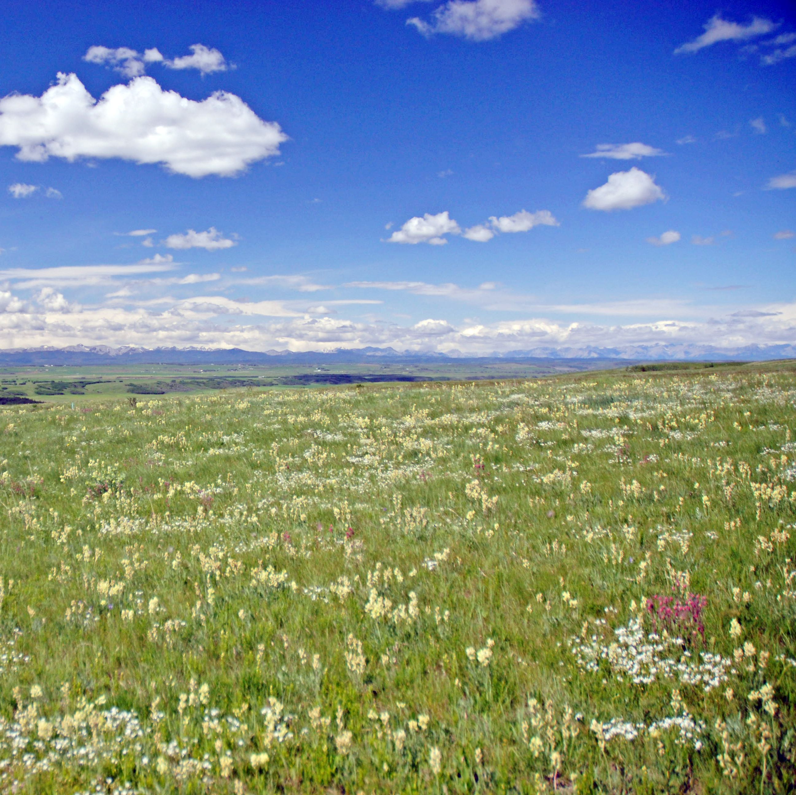 Im Glenbow Ranch Provincial Park