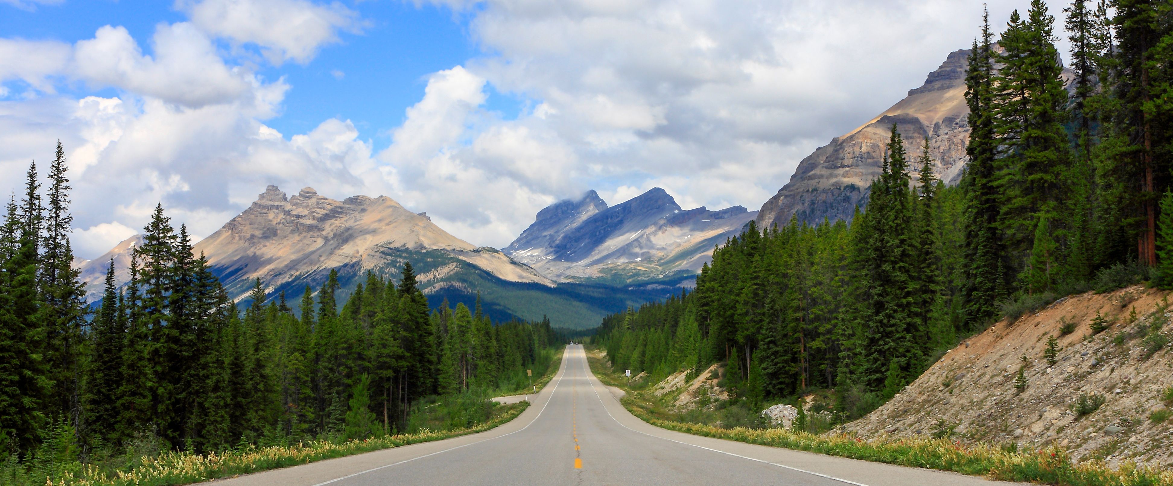 Auf dem Icefields Parkway im Jasper National Park, Alberta