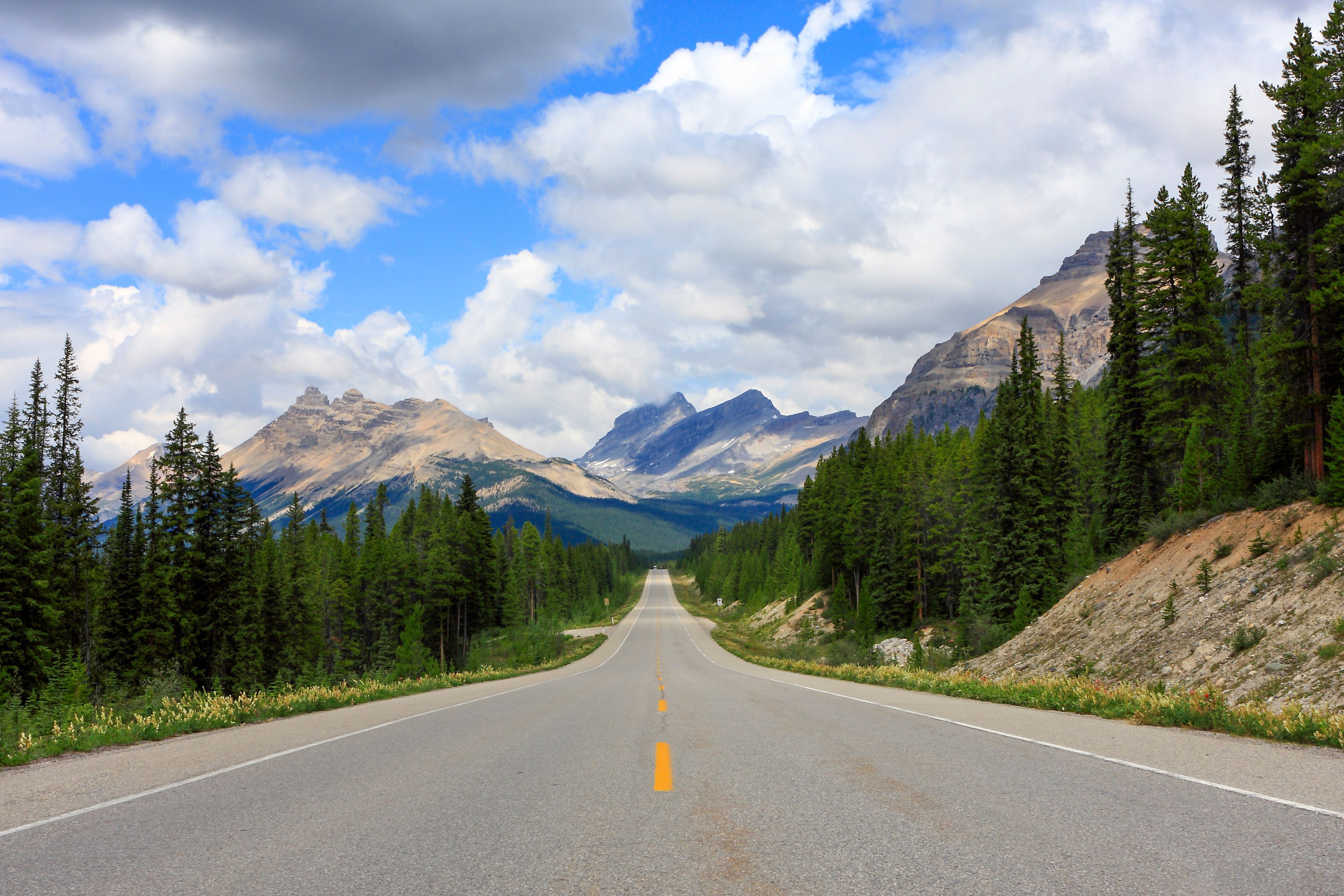 Auf dem Icefields Parkway im Jasper National Park, Alberta