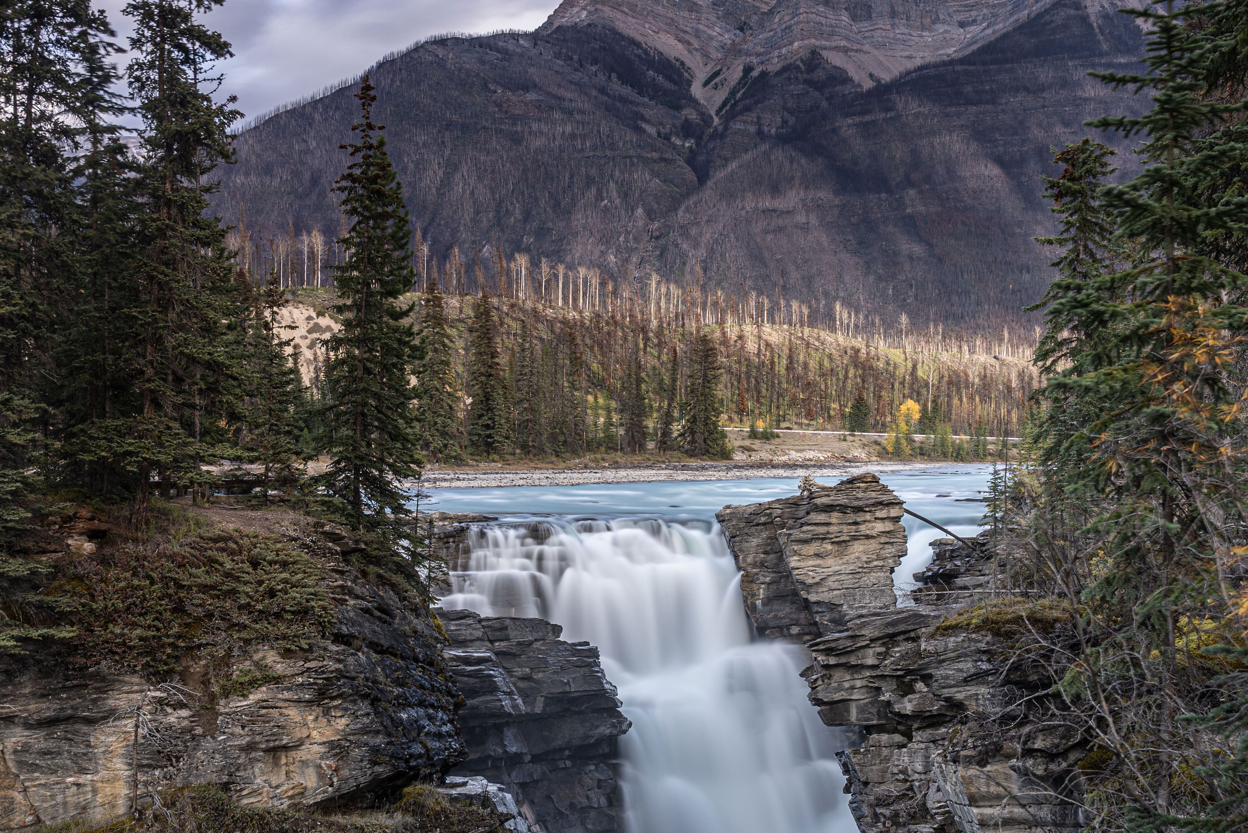 Die tosenden Athabasca Falls stürzen im Jasper Nationalpark in eine enge Kalksteinschlucht vor der Bergkulisse des Mount Kerkeslin Die tosenden Athabasca Falls stürzen im Jasper Nationalpark in eine enge Kalksteinschlucht vor der Bergkulisse des Mount Kerkeslin