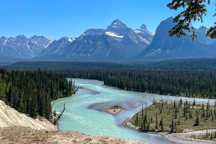 Aussichtspunkt Goats and Glacier Lookout im Jasper National Park