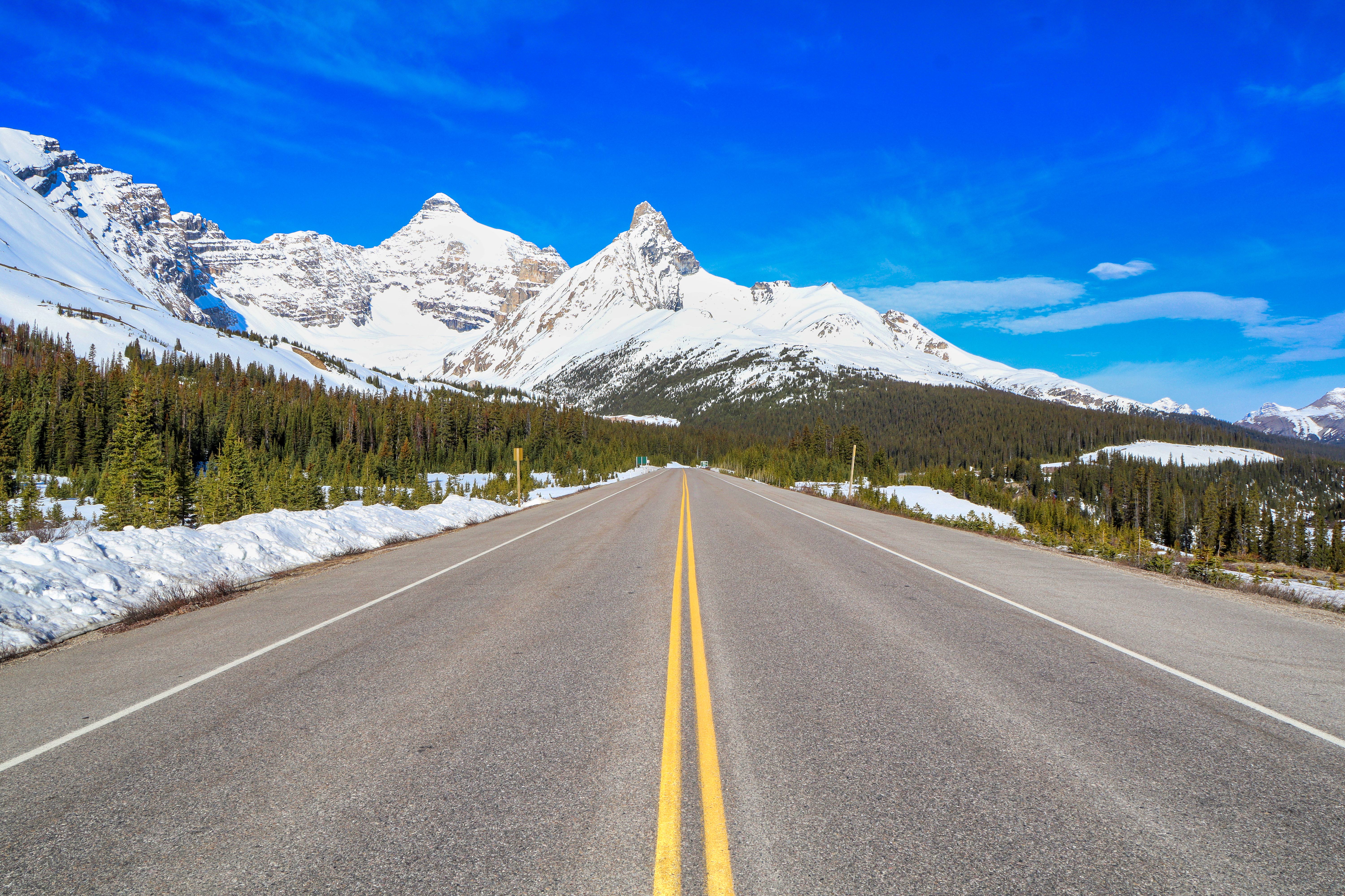 Unterwegs auf dem spektakulären Icefields Parkway