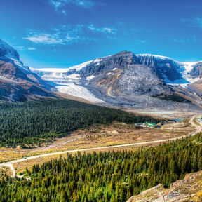 Der Wilcox Pass bei Jasper