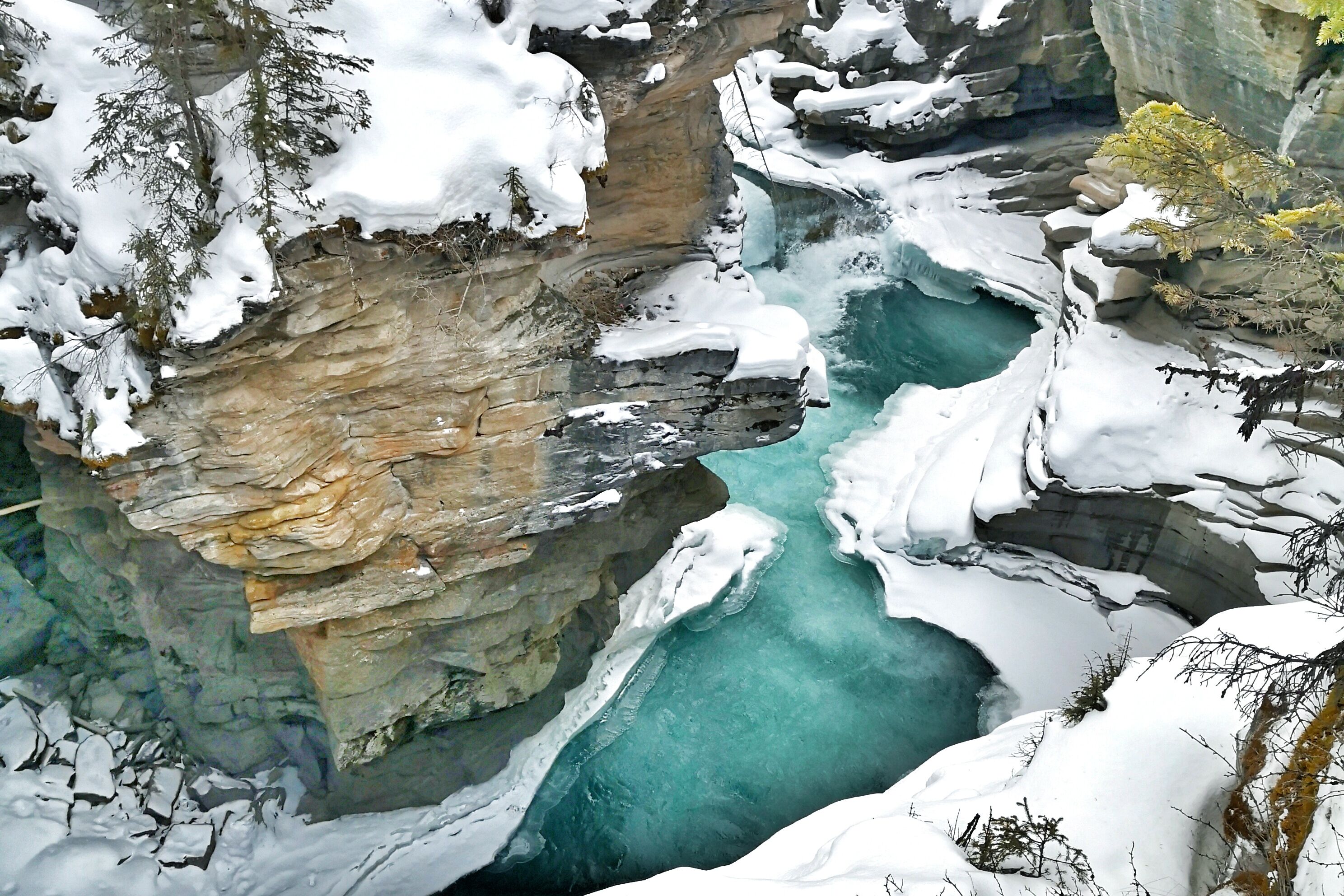 Ein Blick auf den Fluss aus Gletscherwasser im Athabasca National Park
