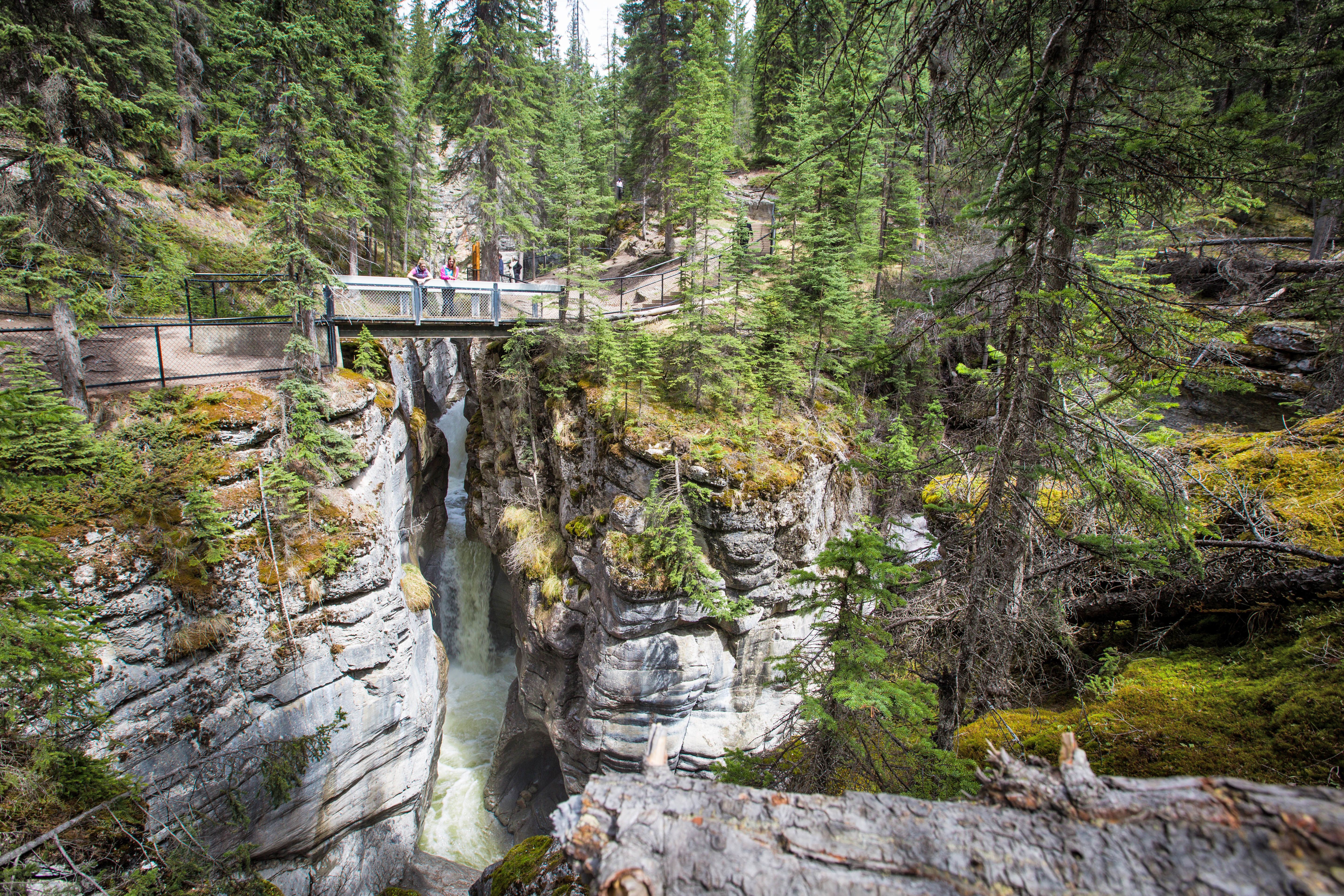 BrÃ¼cke Ã¼berm Maligne Canyon, Alberta