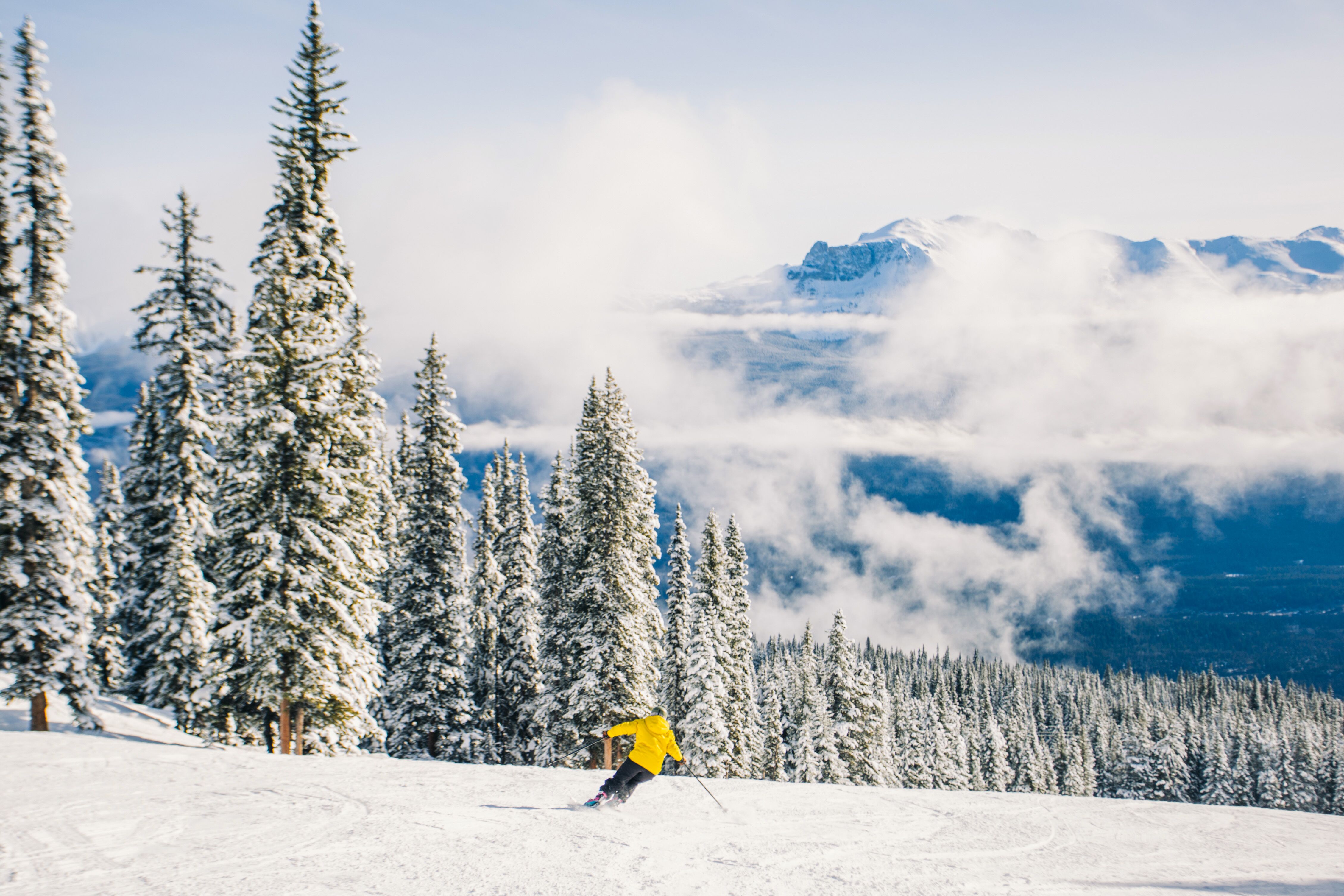 Wunderschöne Schneelandschaft im Skigebiet Marmot Basin von Alberta erleben